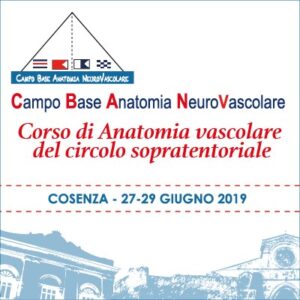 campo-base-anatomia-neurovascolare-2019