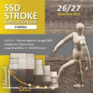 ssd-stroke-simulation-day-ii-edition